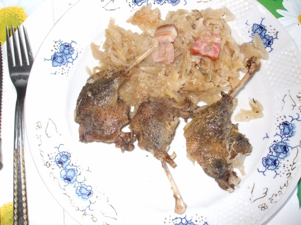 Rata salbatica cu varza