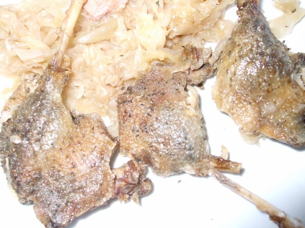 Rata salbatica cu varza