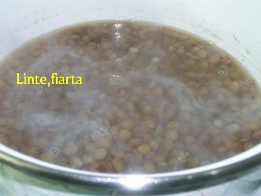 Mujedera(specific arab)