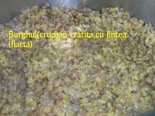 Mujedera(specific arab)