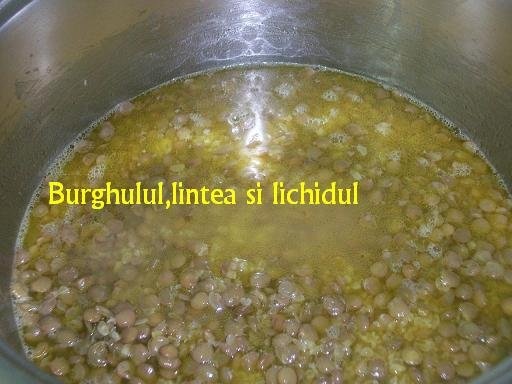 Mujedera(specific arab)