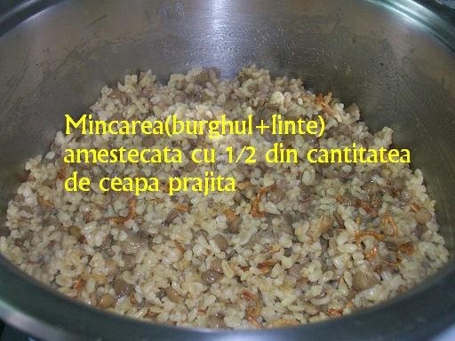 Mujedera(specific arab)