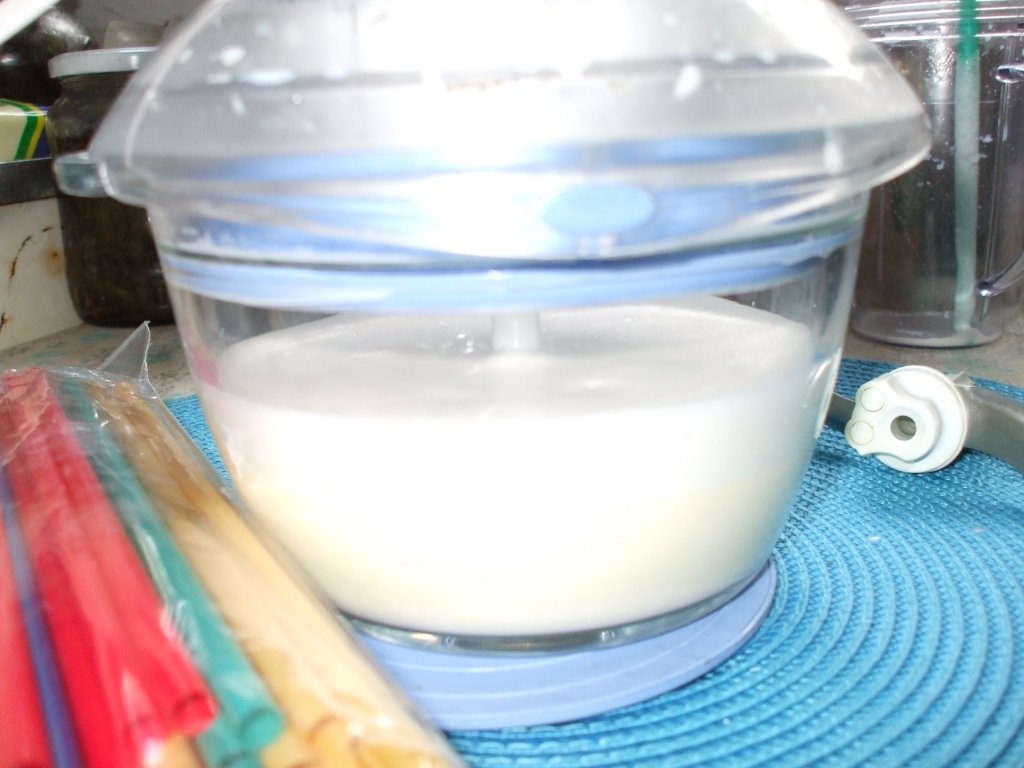 Shodou cu galbenus si miere