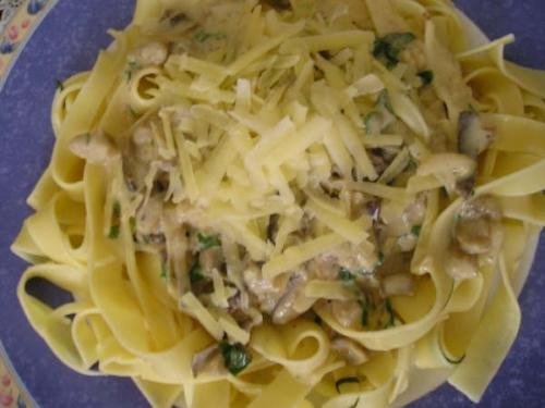 ciuperci pleurotus cu smantana si paste