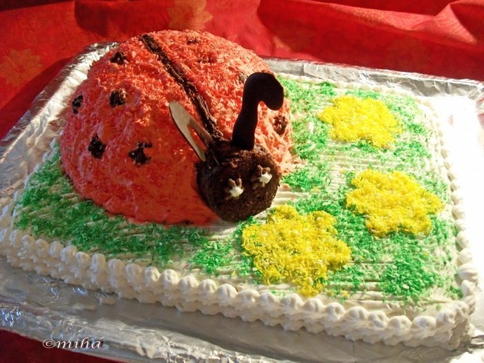 Tort Medovik cu buburuza