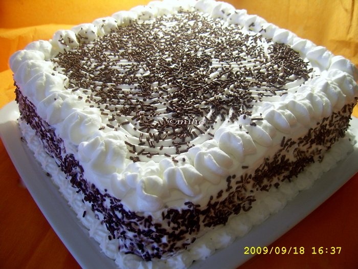 Tort Intercontinental