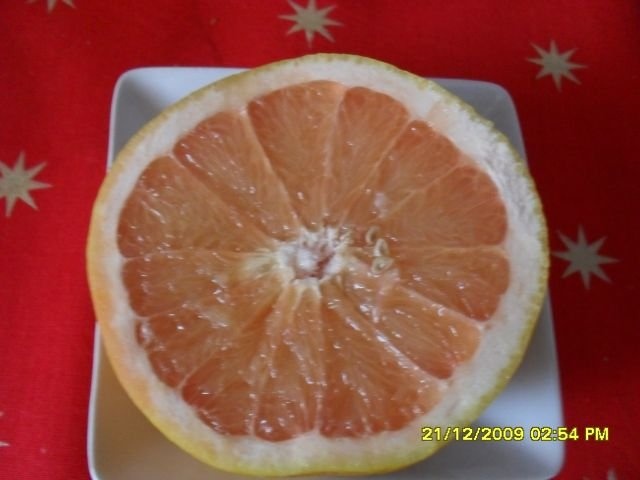 Grapefruit copt