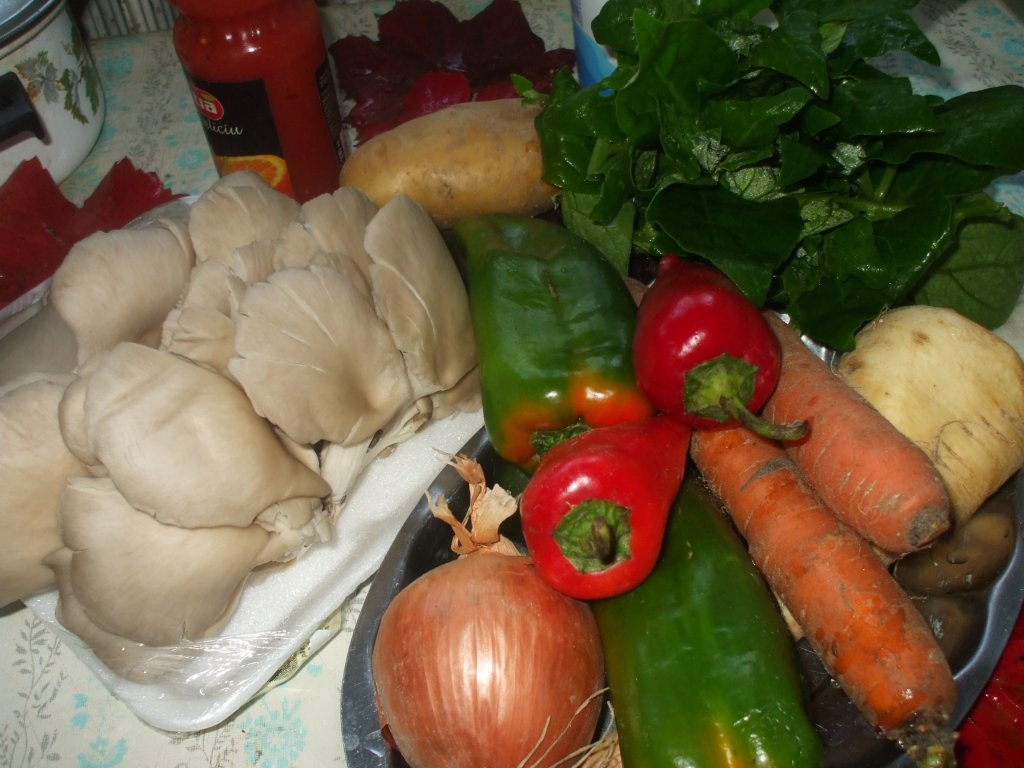 Ciorba de ciuperci pleurotus 2