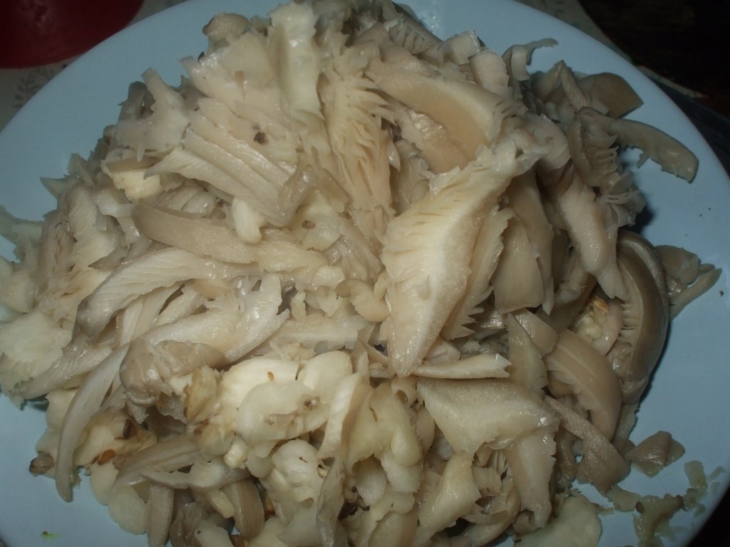 Ciorba de ciuperci pleurotus 2