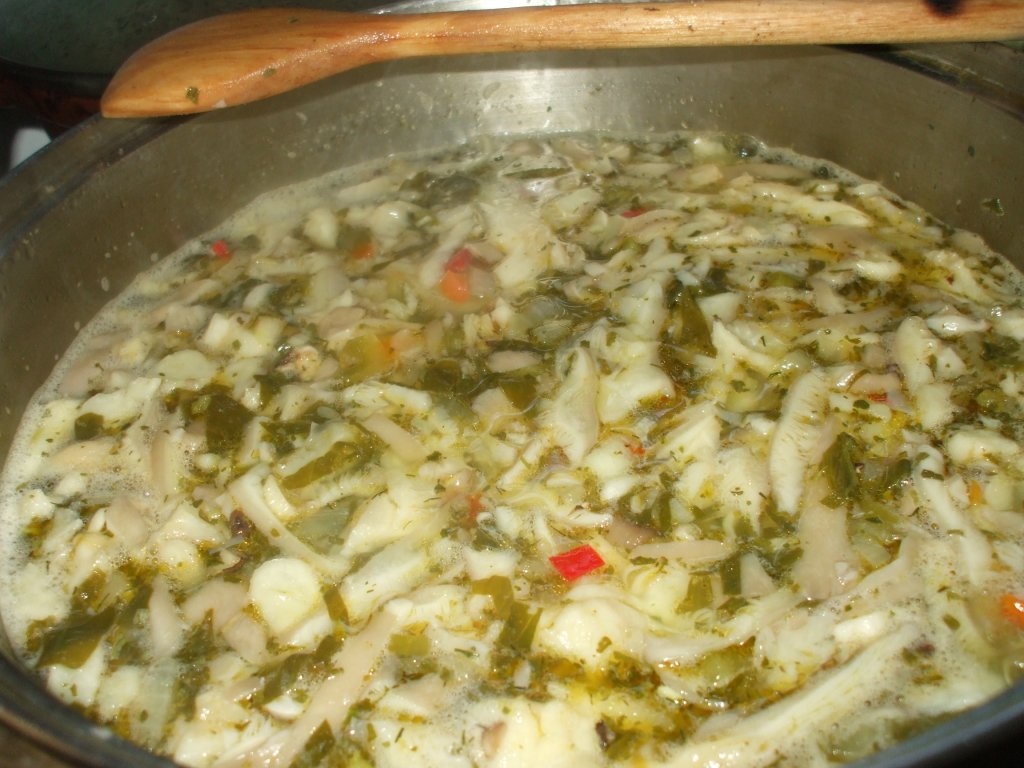 Ciorba de ciuperci pleurotus 2