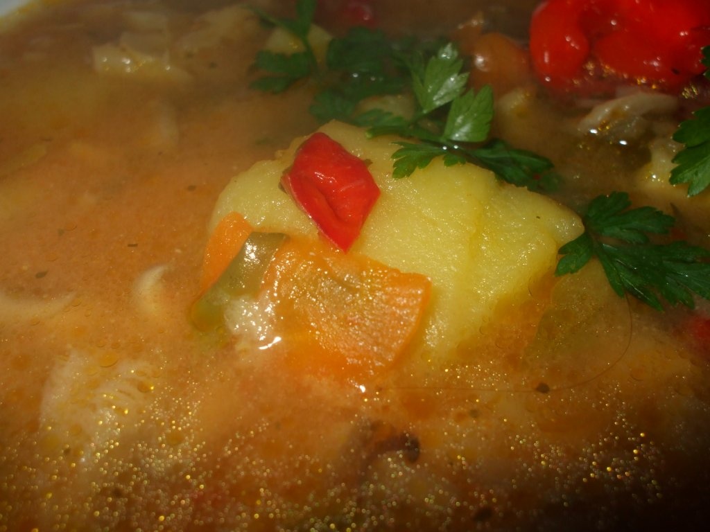 Ciorba de ciuperci pleurotus 2