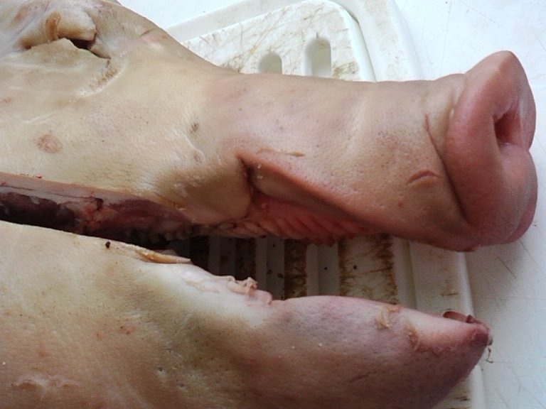 Piftie ( racitura) de porc