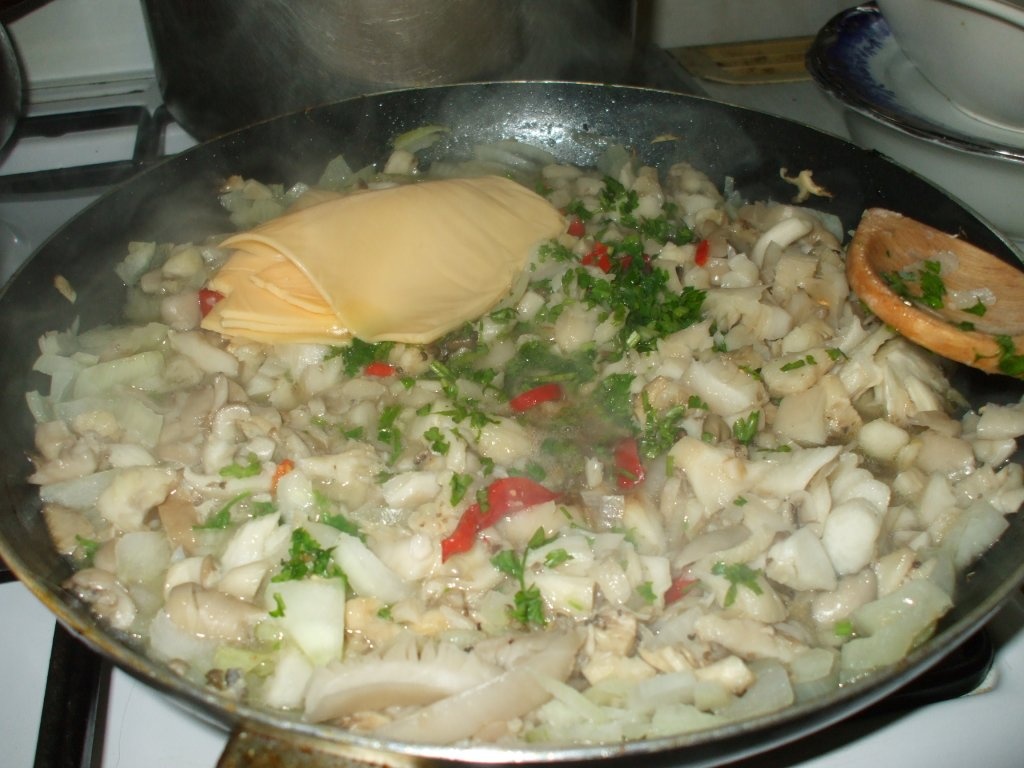 Ciuperci pleurotus cu smantana