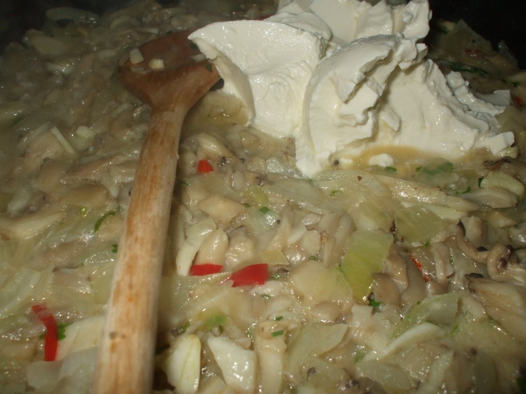 Ciuperci pleurotus cu smantana