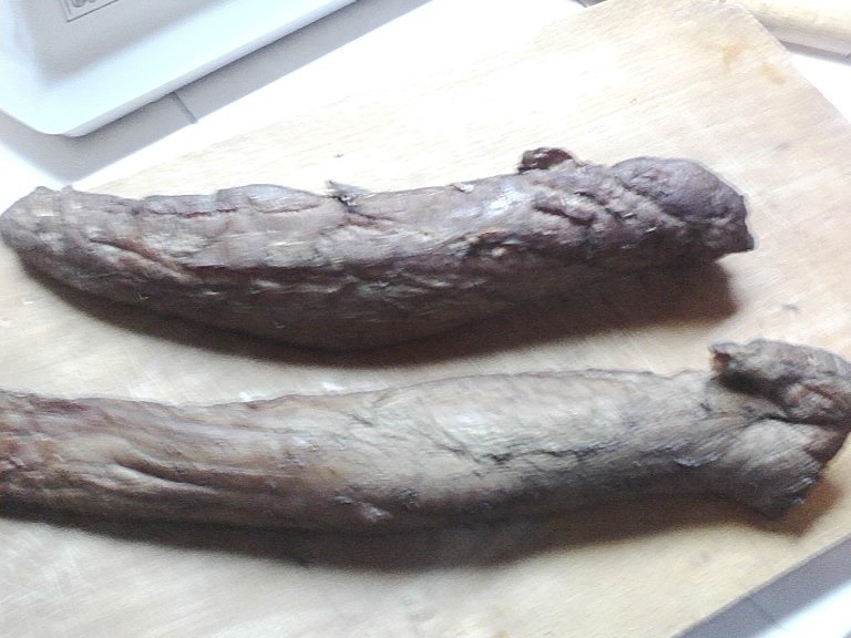 Muschi montana de casa