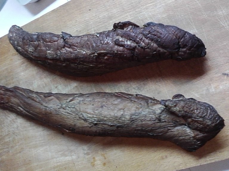 Muschi montana de casa