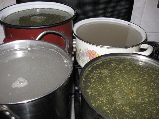 Pepenasi  verzi murati