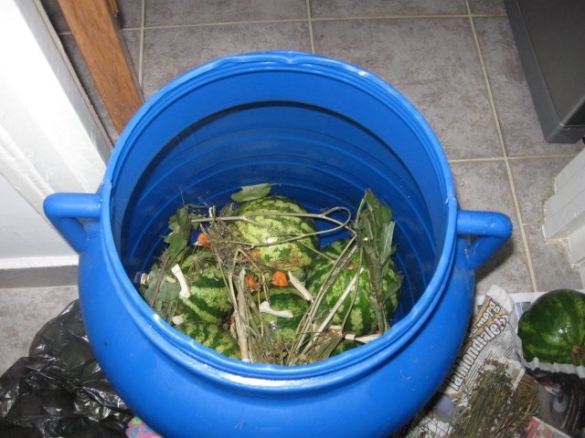 Pepenasi  verzi murati