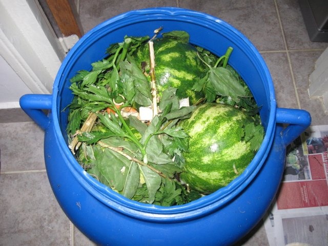 Pepenasi  verzi murati