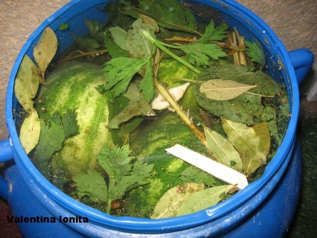 Pepenasi  verzi murati