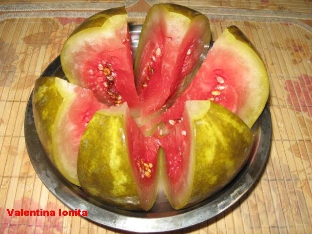 Pepenasi  verzi murati