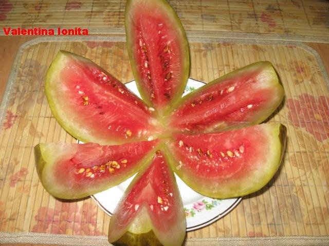 Pepenasi  verzi murati