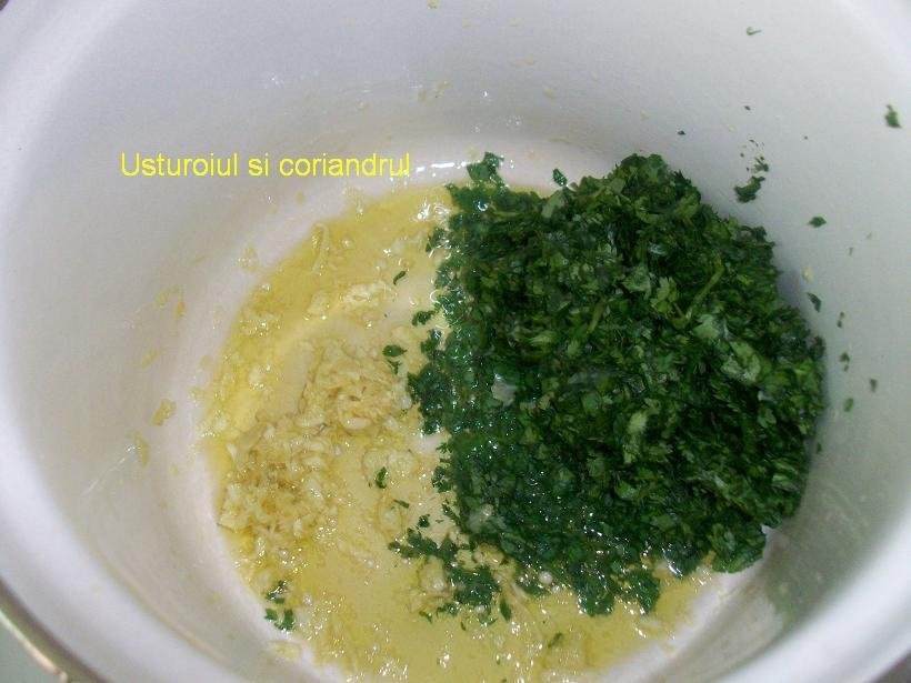Peste  prajit,cu sos de coriandru