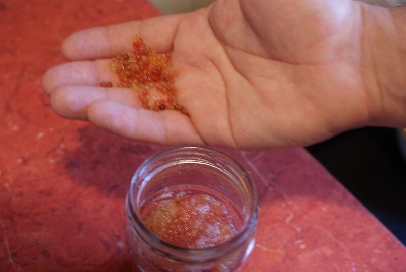 Icre de pastrav (conservare)