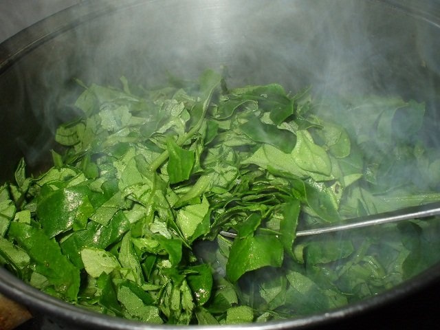 Placinta cu spanac si branza – Spanakopita (specific grecesc)