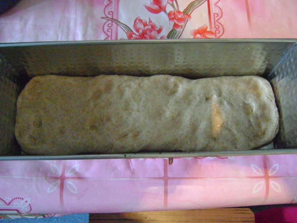 Paine neagra cu masline