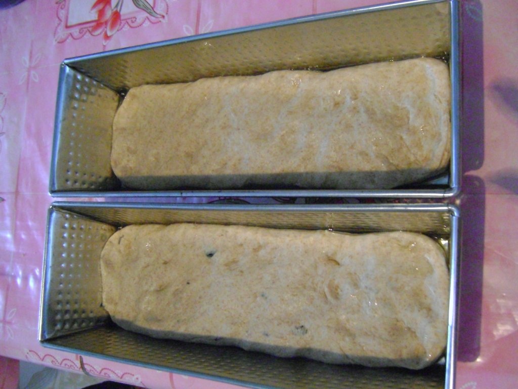 Paine neagra cu masline