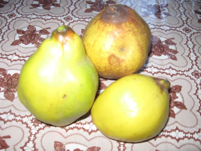 Mancarica de gutui - de post