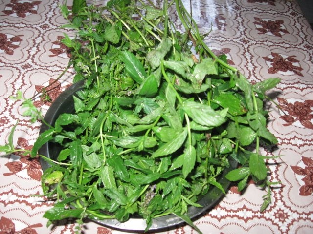 Din categoria condimente verzi congelate – Menta