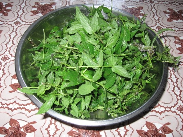 Din categoria condimente verzi congelate – Menta