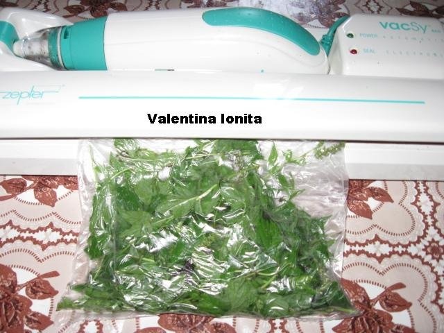 Din categoria condimente verzi congelate – Menta