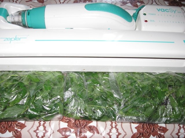 Din categoria condimente verzi congelate – Menta