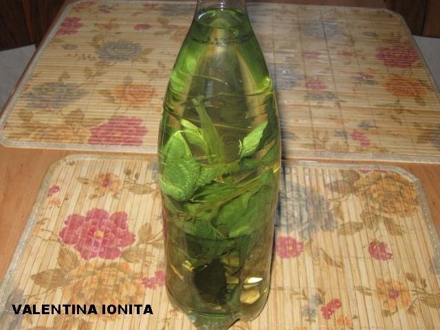 Tuica de pruna de Varatec si de Cetatuia cu melisa si cu schinduc si Tuica de mere Manastirea Bucium