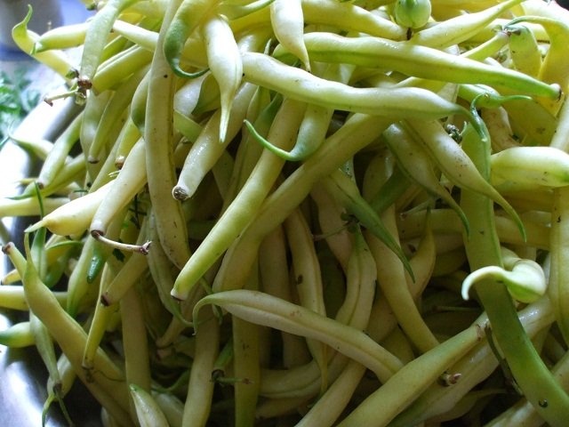 Fasole verde la borcan