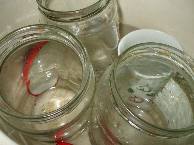 Fasole verde la borcan