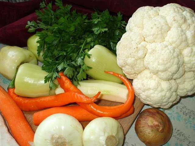 Conopida natur cu sos bechamel