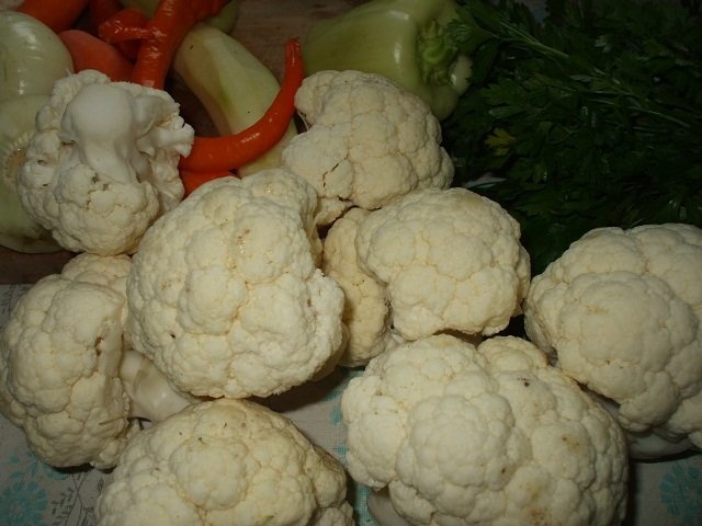 Conopida natur cu sos bechamel