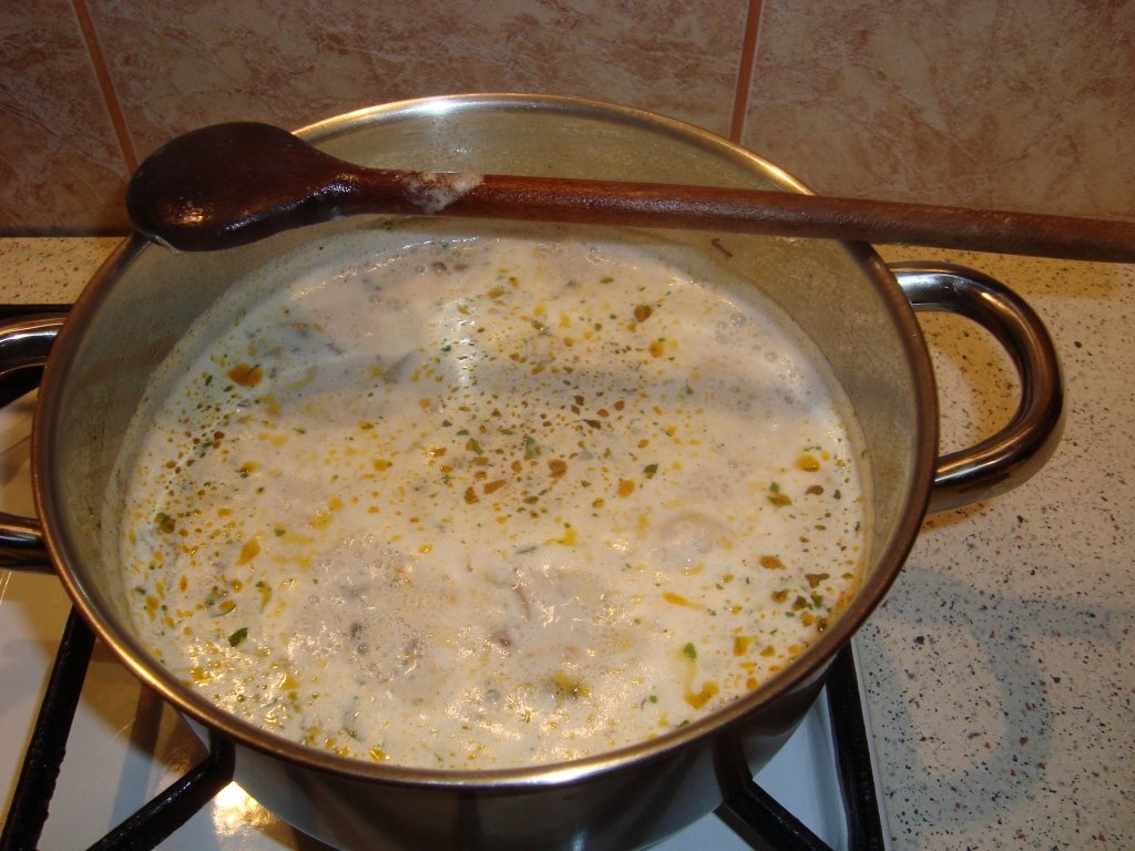 Paste cu tocanita de ciuperci