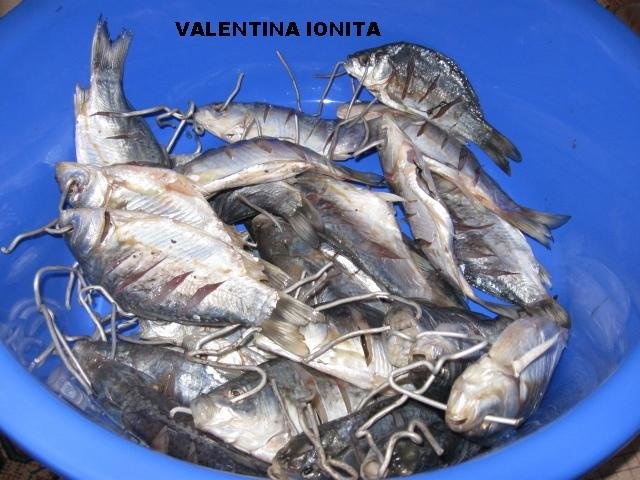 Peste sarat si uscat