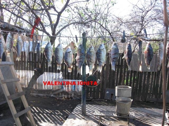 Peste sarat si uscat