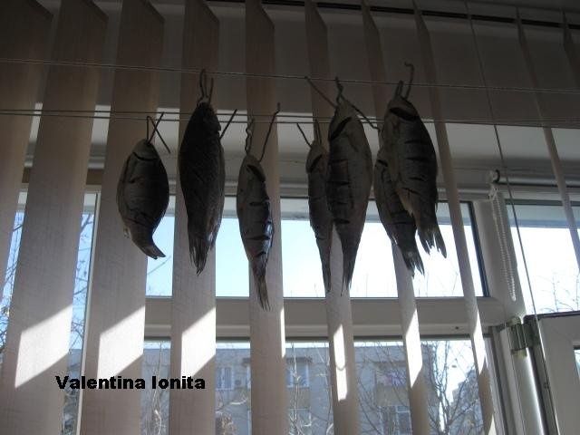 Peste sarat si uscat