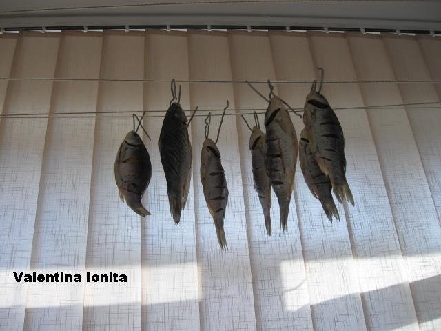 Peste sarat si uscat