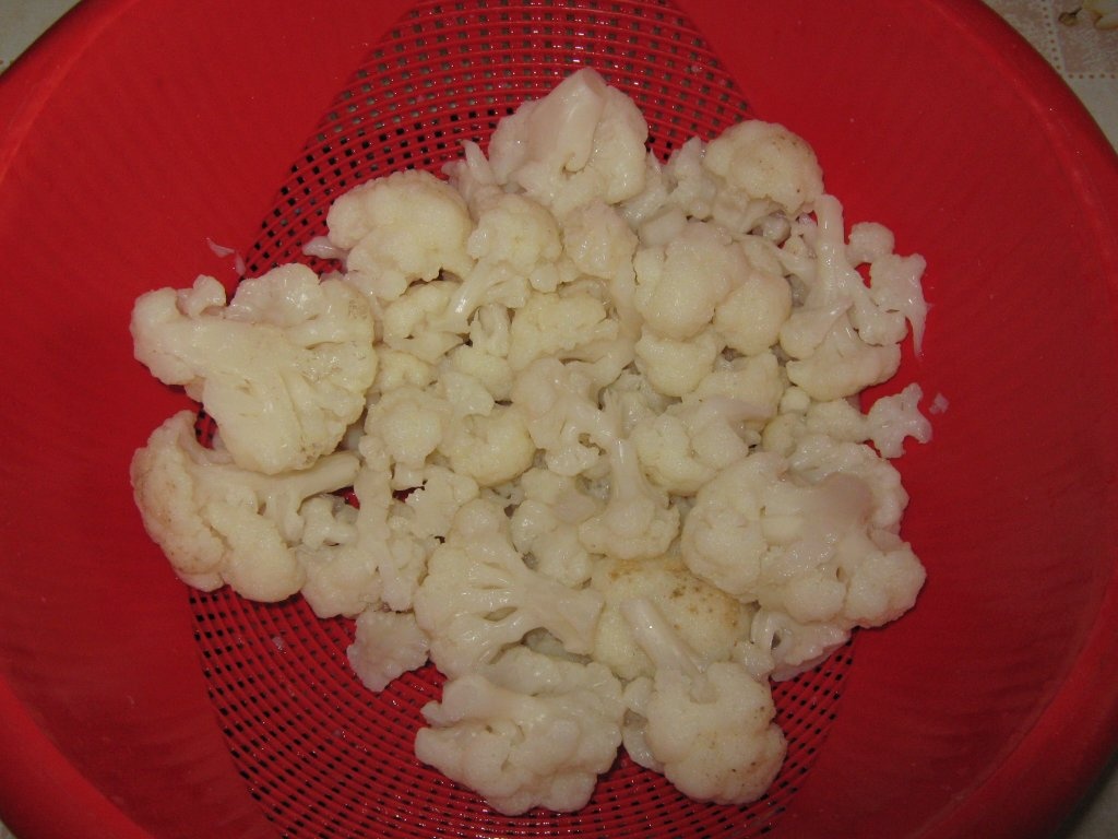 Egeh zahrah -Conopida pane –specific tarilor arabe