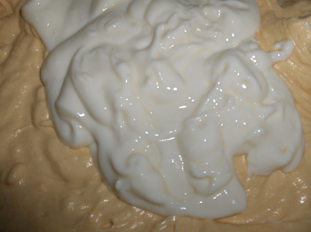 Chec de iaurt cu cremã de vanilie si rodii (Bolo de Iogurte com molho de Baunilha e romãs)