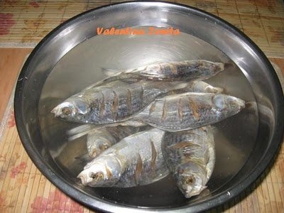 Peste sarat si uscat rasol cu legume la cuptor