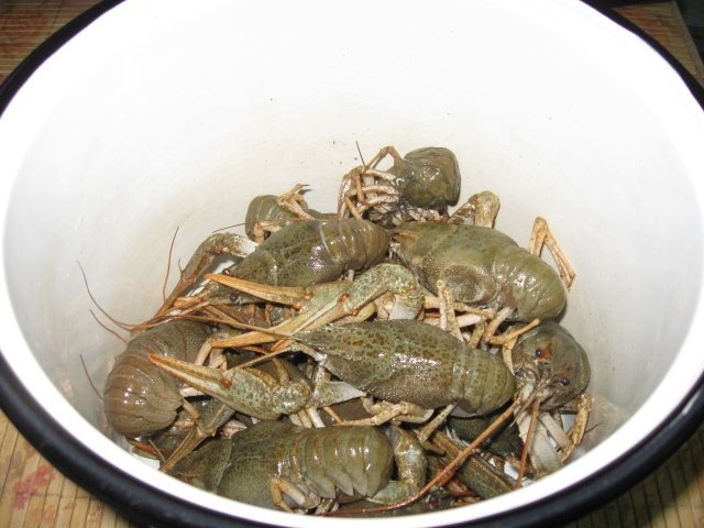 Raci prajiti in aluat de clatite de post